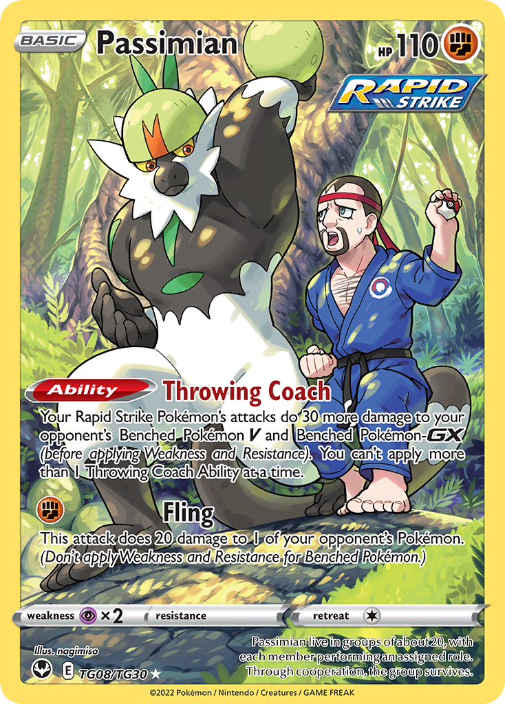 Passimian TG08 Silver Tempest Trainer Gallery