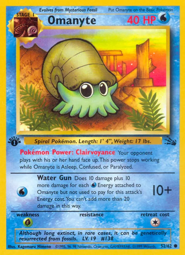 Omanyte 52/62 Fossil
