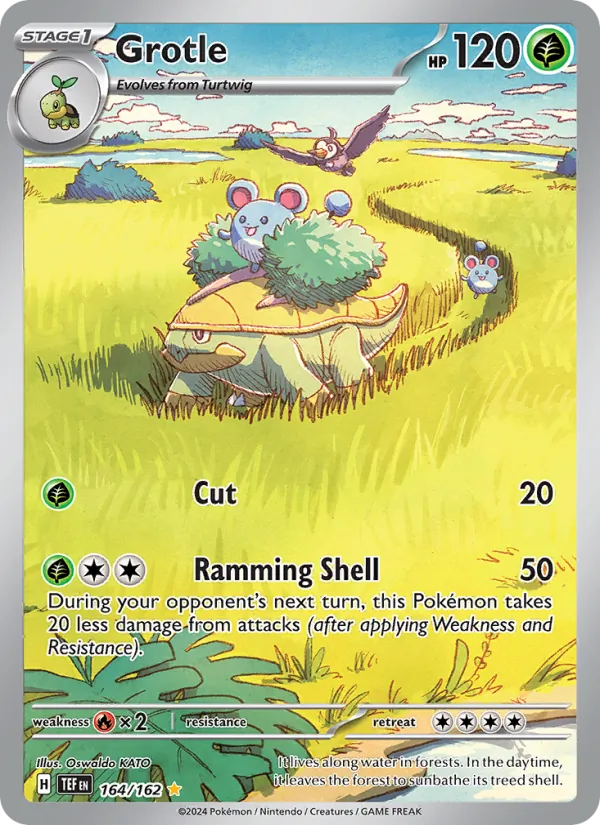 Grotle 164/162 Temporal Forces
