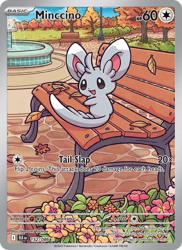 Minccino 152/86 Black Bolt