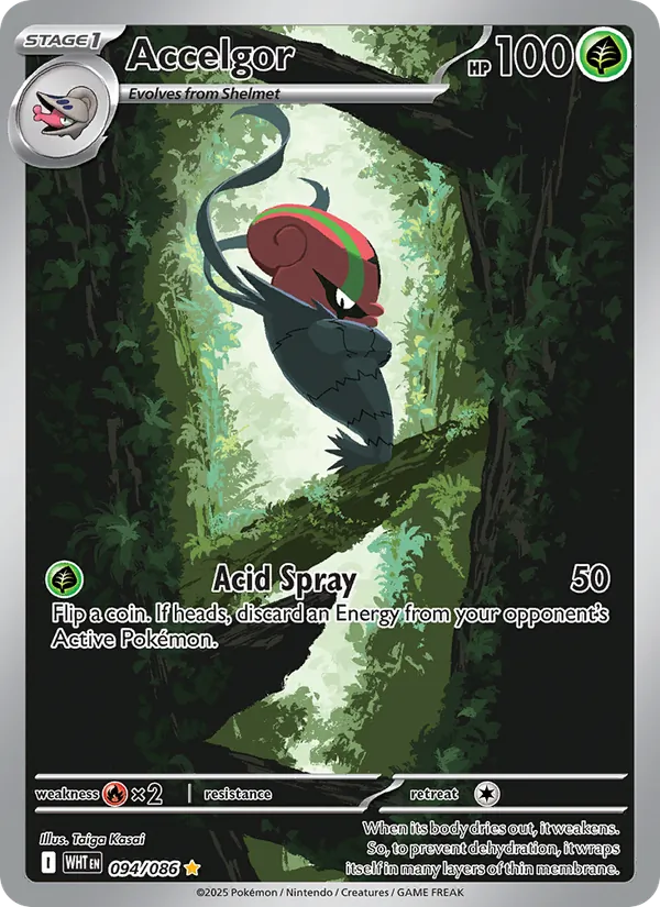 Accelgor 094/86 White Flare