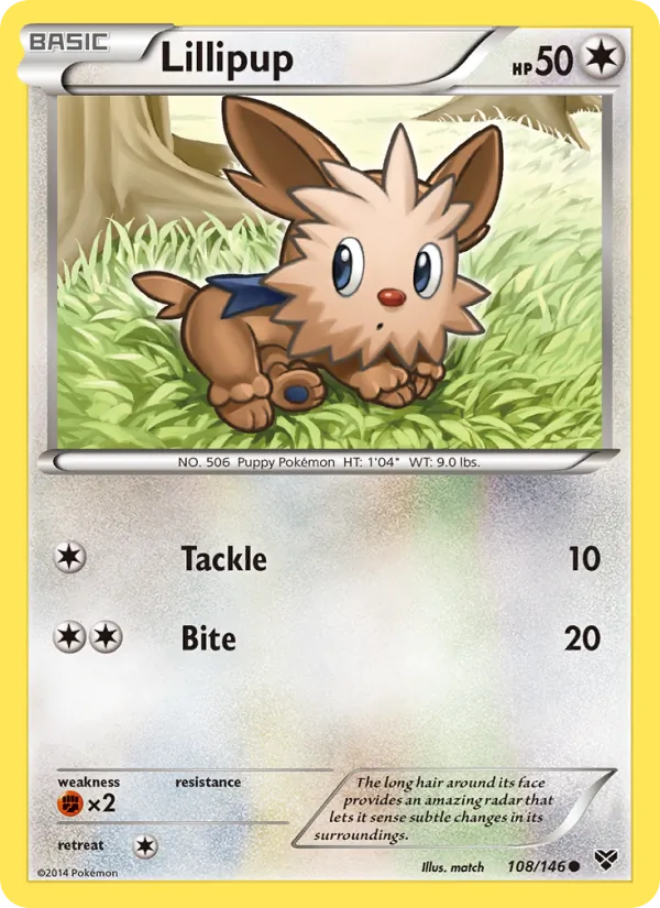 Lillipup 108/146 XY