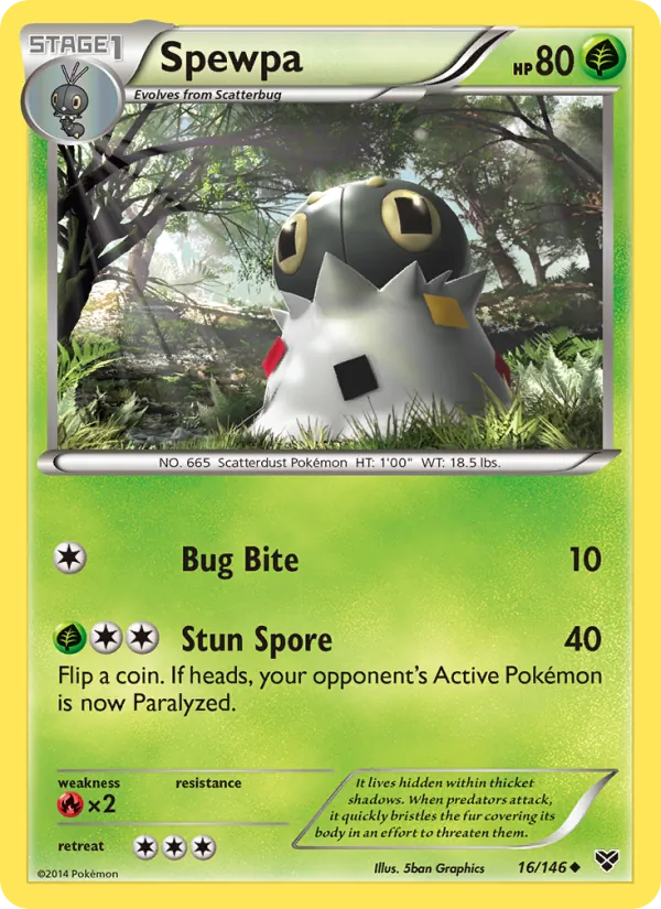 Spewpa 16/146 XY
