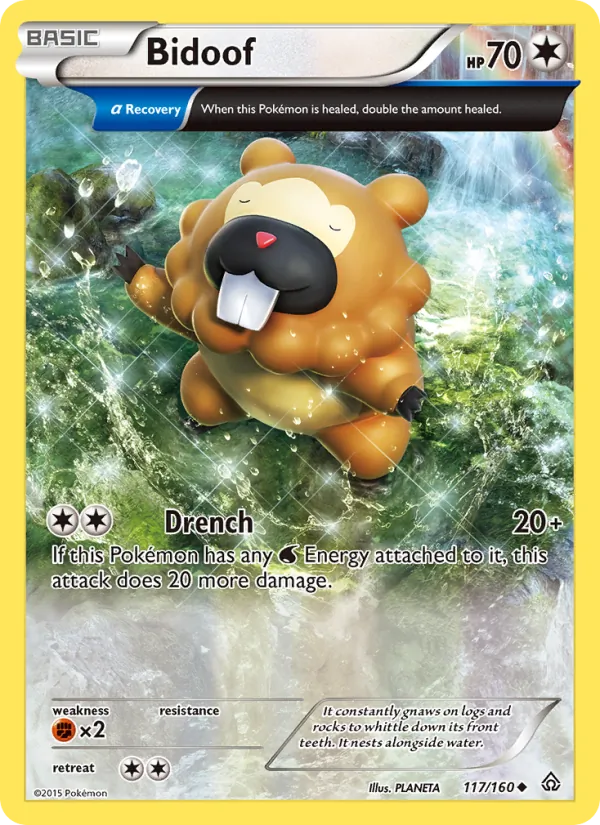 Bidoof 117/160 Primal Clash