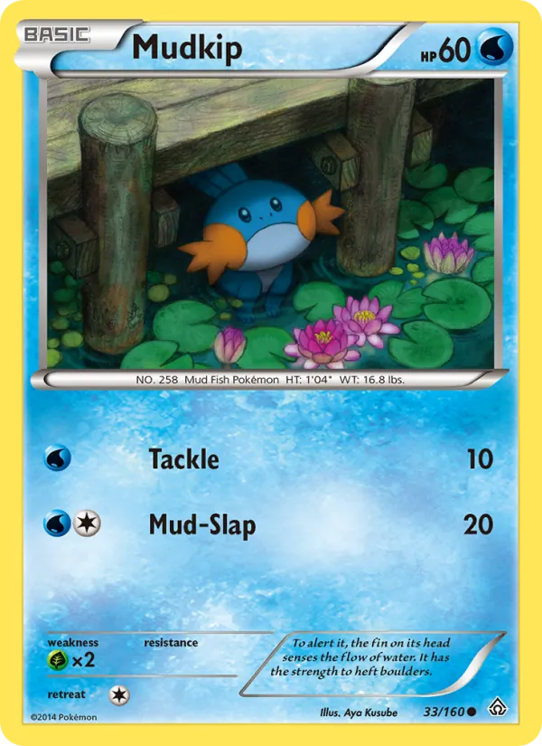 Mudkip 33/160 Primal Clash